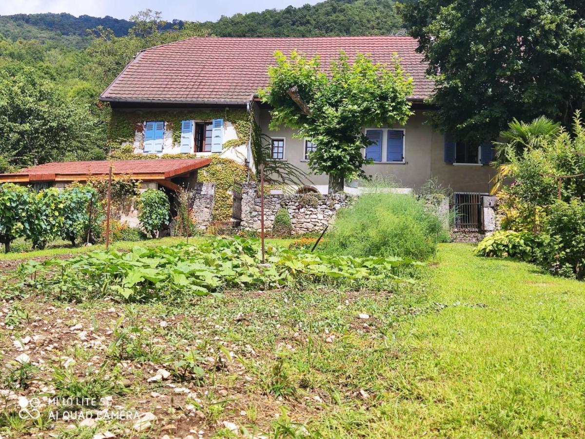 Holiday home Du Vent Dans Les Arbres -120m2 Belle Vue Sur Le