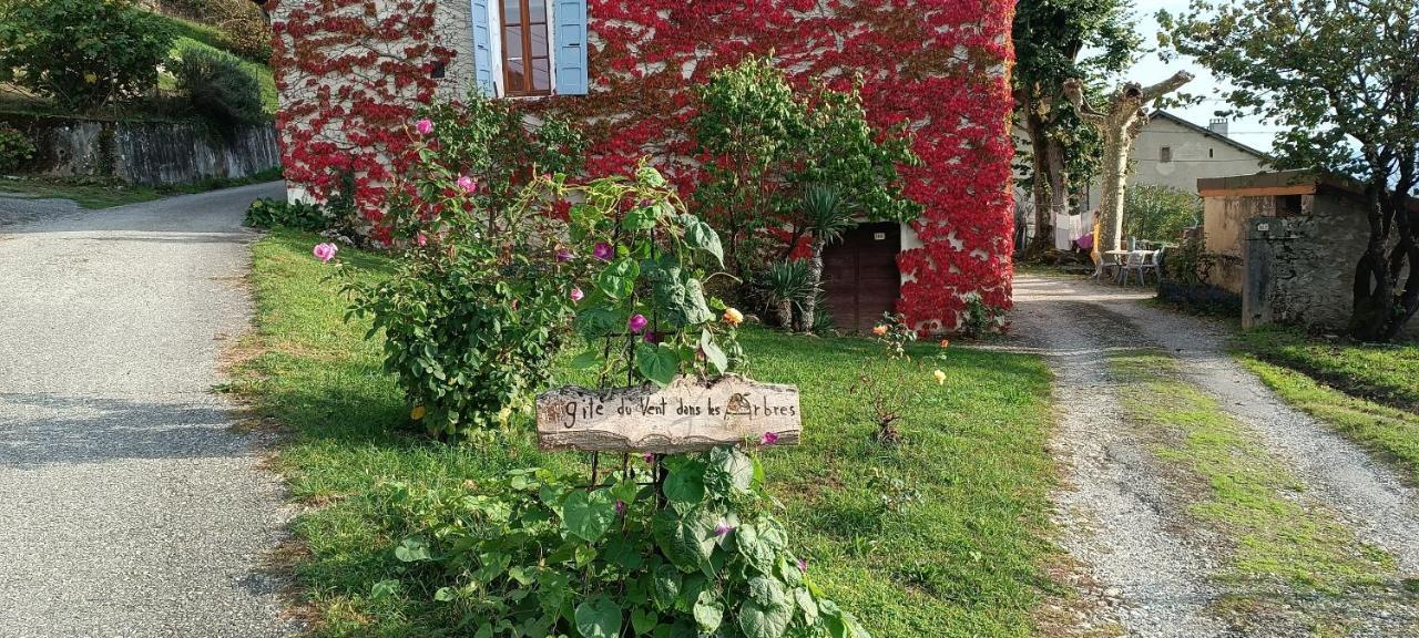 Du Vent Dans Les Arbres - Belle Vue Sur Le Chindrieux