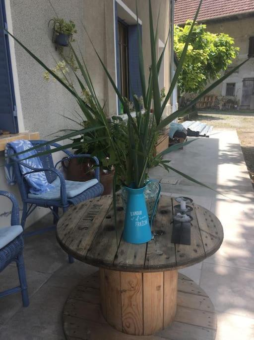 Du Vent Dans Les Arbres - Belle Vue Sur Le Hébergement de vacances