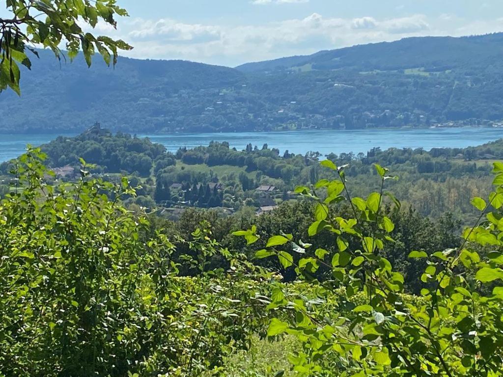 Du Vent Dans Les Arbres - Belle Vue Sur Le Chindrieux